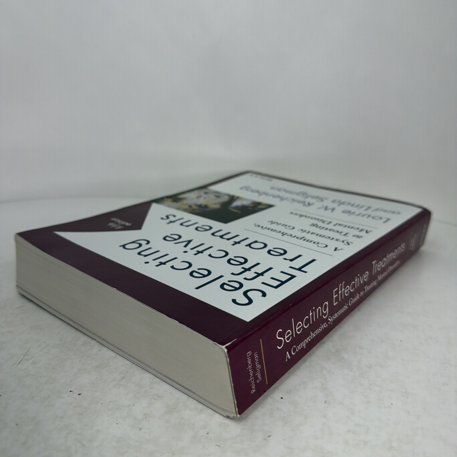 Selecting Effective Treatments: Comprehensive, Systematic Guide…5th Edition PB
