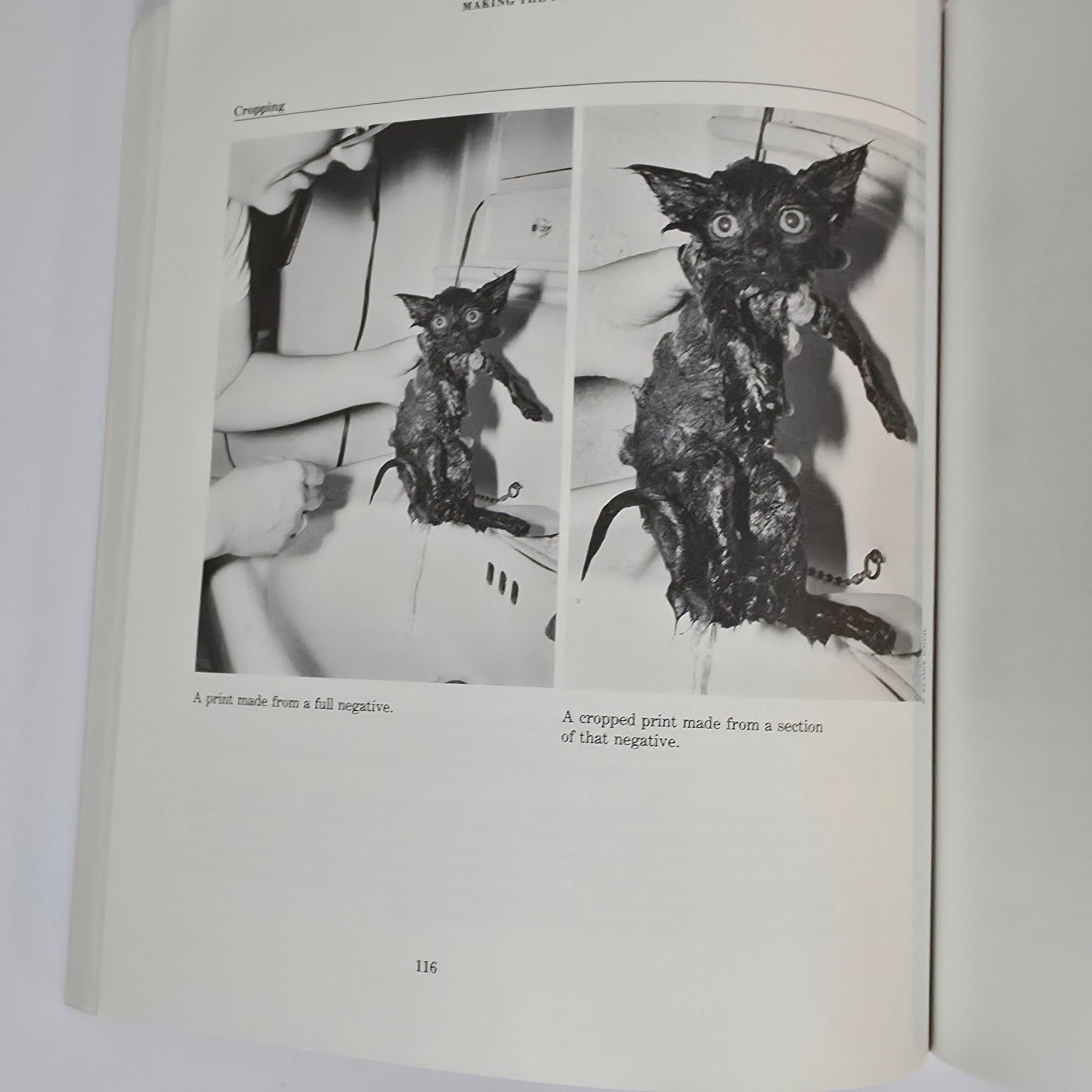 Photography Books Lot Zuckerman Shooting & Selling Horenstein Black & White