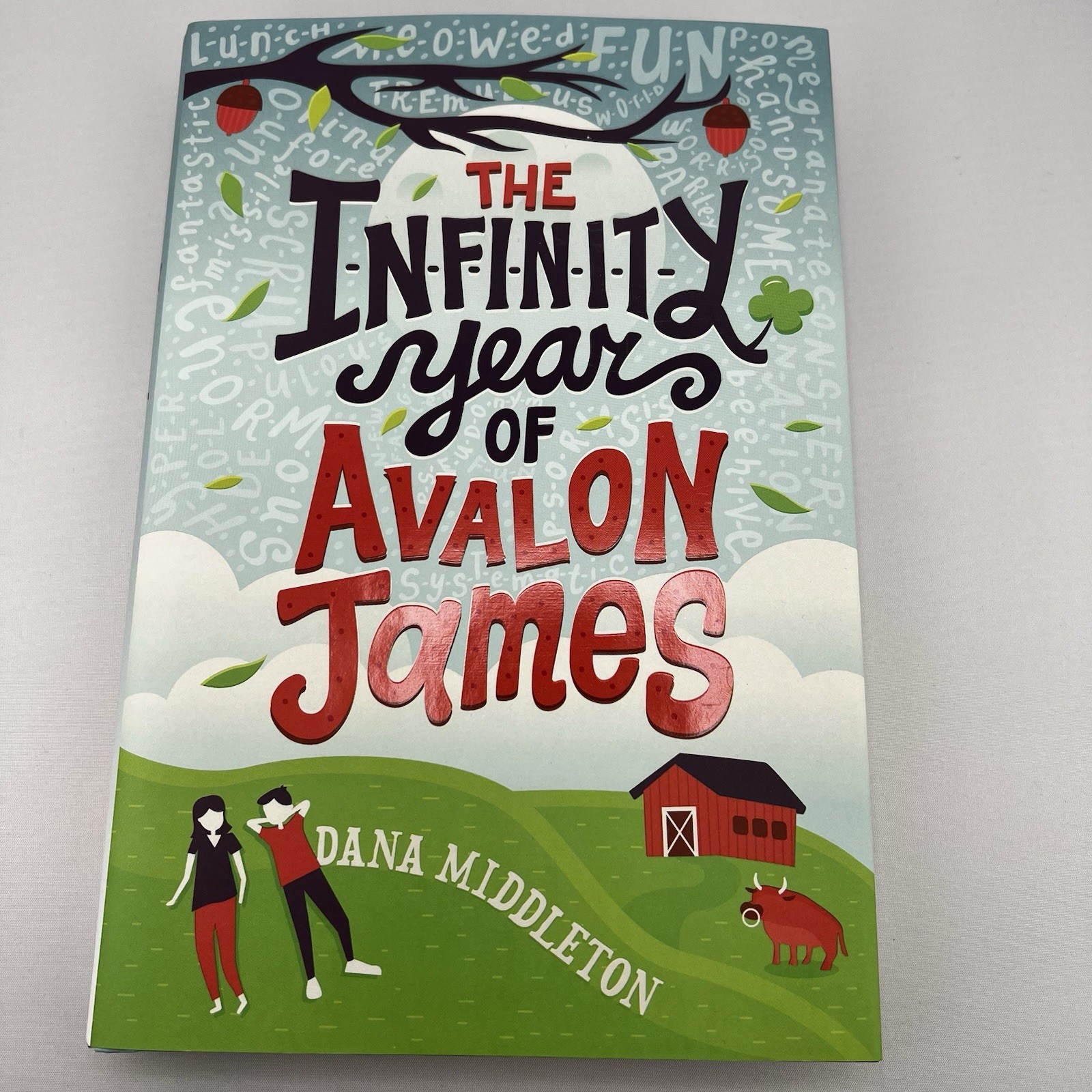 The Infinity Year of Avalon James Dana Middleton HC Middle Grade Fiction Book
