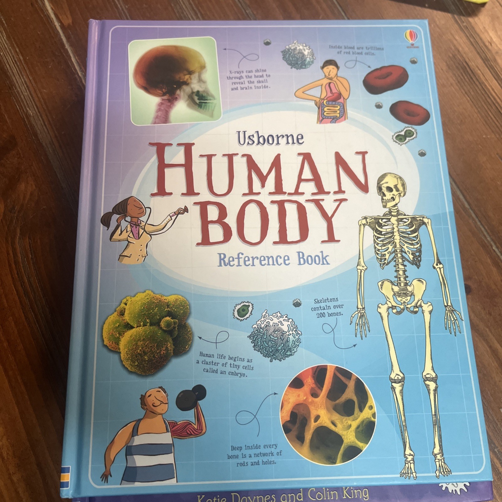 Lot Of 6 Inside Your Body Usborne Dover Coloring Book Set Human Children