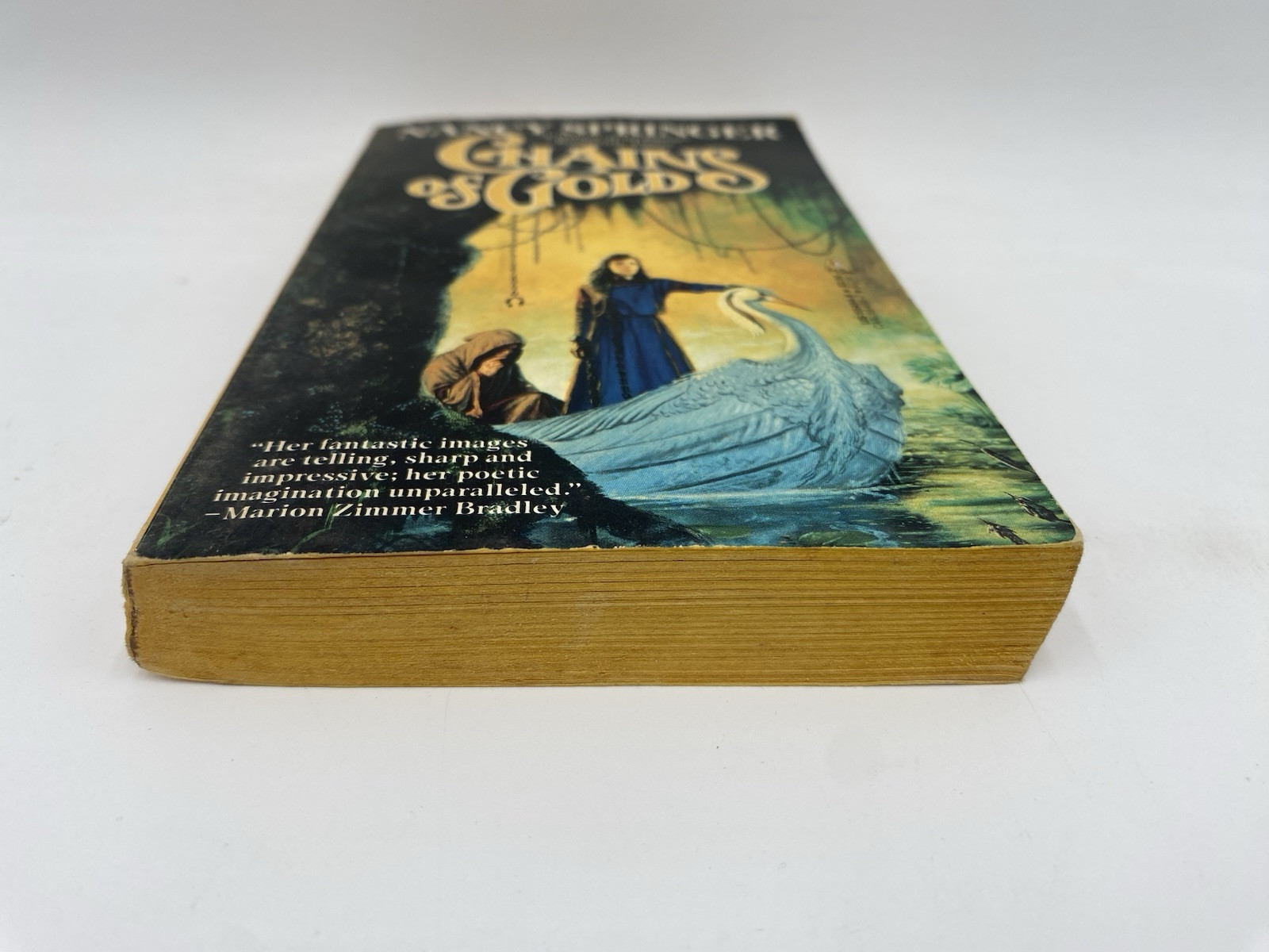 Vintage PB NANCY SPRINGER Chains of Gold. Tor 1988. 1st pbk. Romantic fantasy