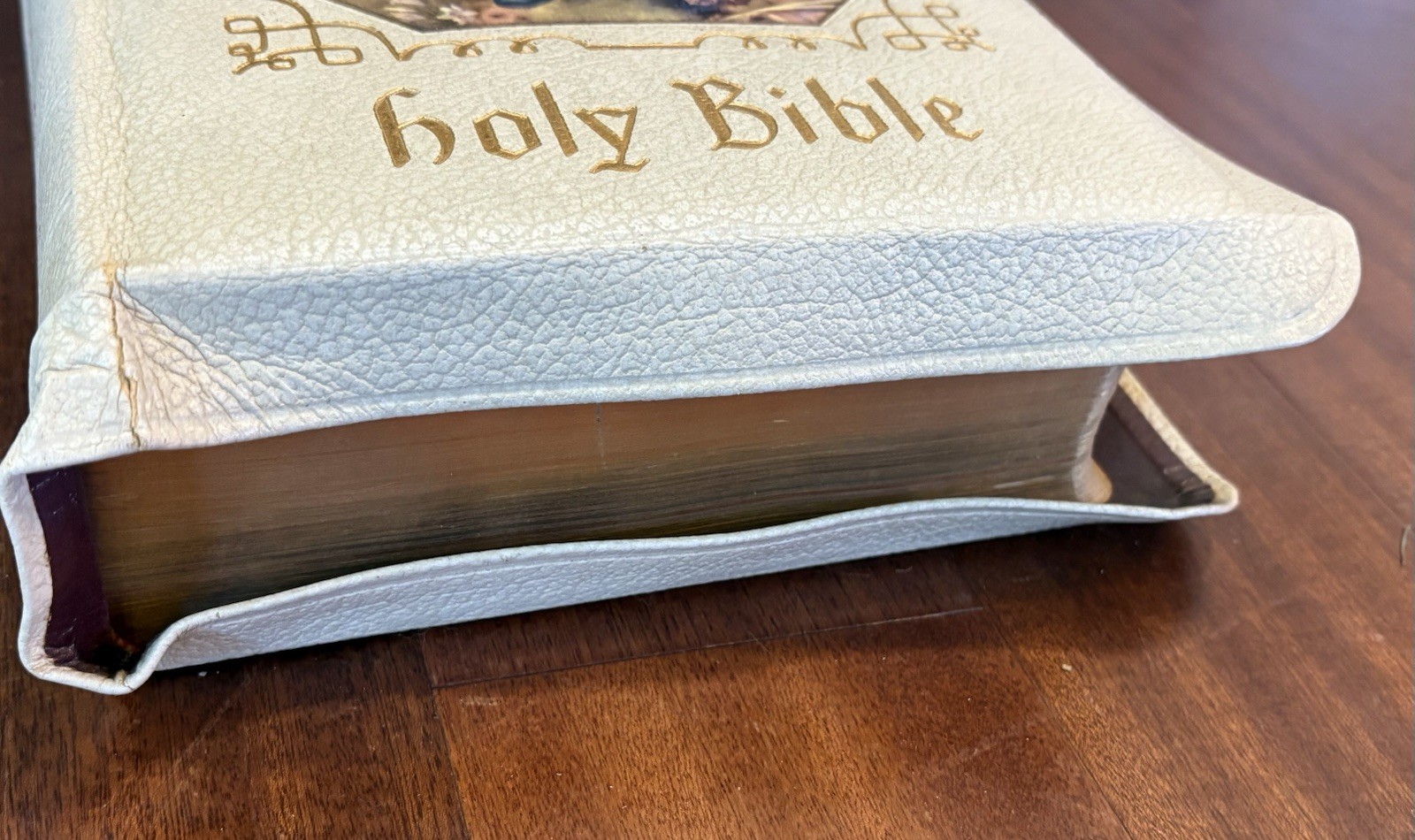 Vintage 1958 Holy Bible The Holy Angels Edition Catholic Press Inc. Illustrated