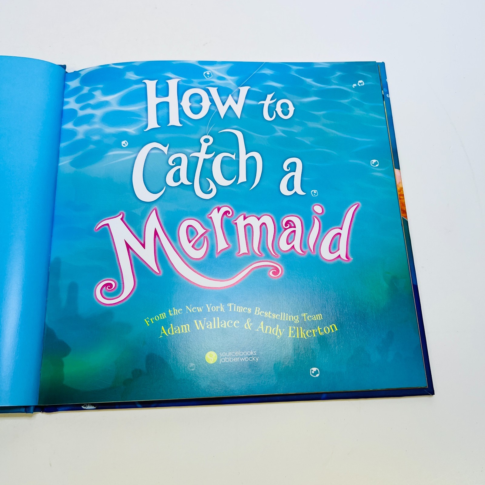 How to Catch a Mermaid Hardcover Adam Wallace & Andy Elkerton