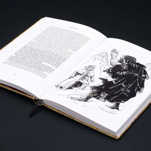 🔪🩸🔪 EXTREMELY RARE FRANKENSTEIN Mary Shelley Amaranthine LETTERED Edition ✅️