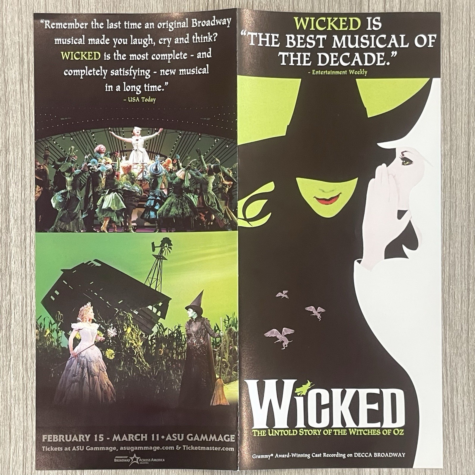 SIGNED (Wicked) OUT OF OZ by Gregory Maguire 1st Edition 1st Printing 2011 HCDJ