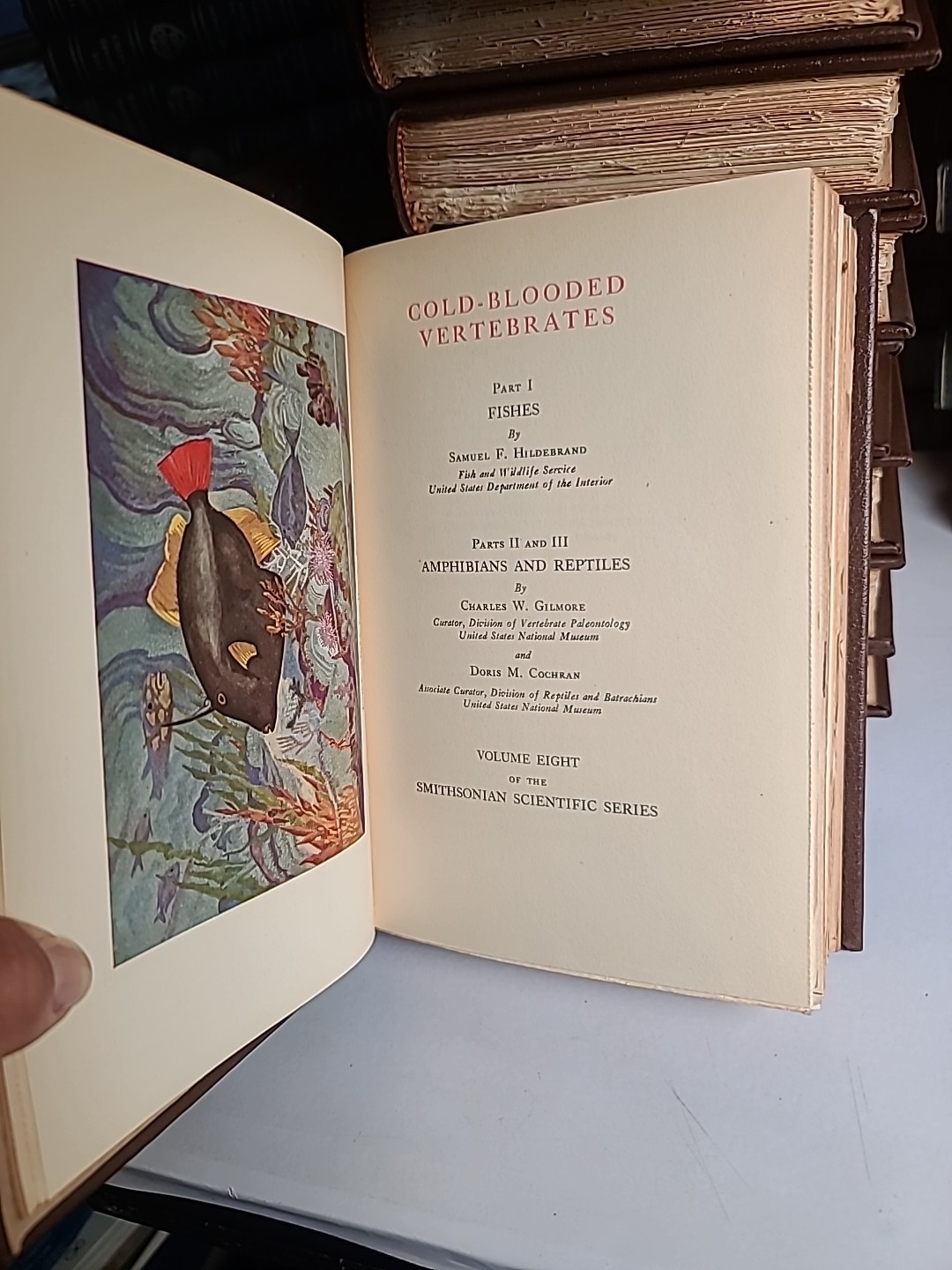 Smithsonian Scientific Series Set of 10 Hardcover Illustrated Volumes – Ornate B