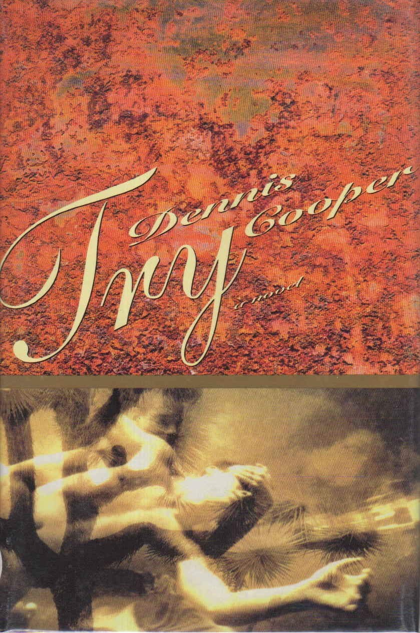 Try – hardcover Cooper, Dennis
