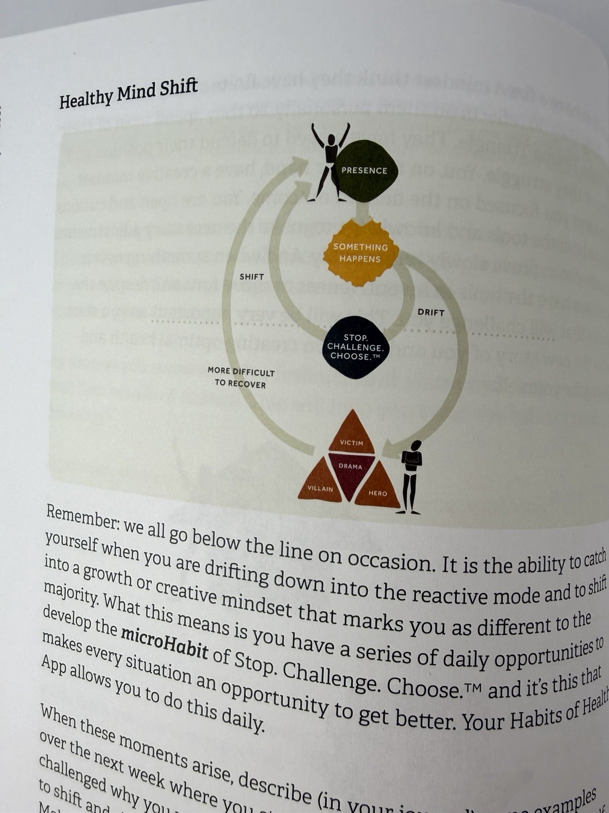 Your Lifebook Your Path to Optimal Health and Wellbeing – Paperback – Excellent