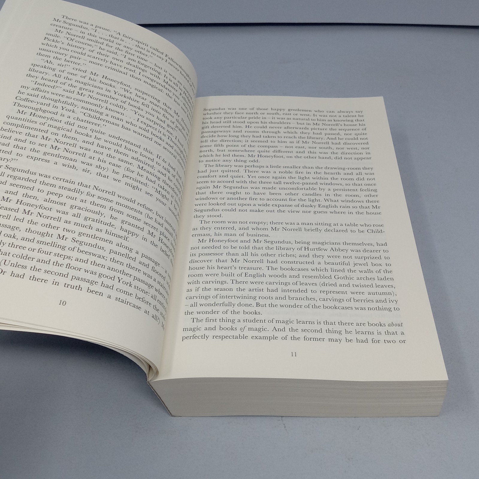 Jonathan Strange & Mr Norrell: A Novel 2020 Paperback by Susanna Clarke