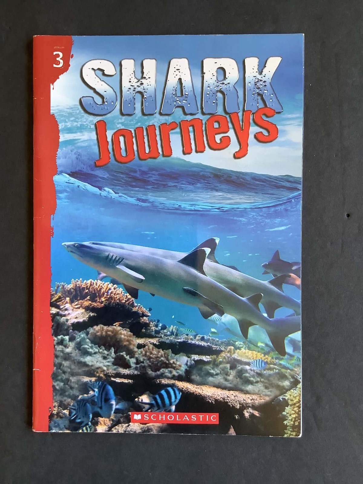 Set of 5 PERFECT HUNTER, SHARK JOURNEYS Books 2 through 6 – For those littles!