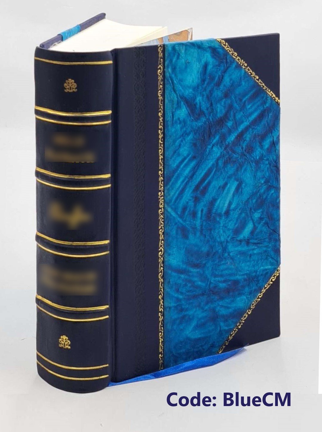 The Prophet of Nazareth or A critical inquiry into the prophetic [Leather Bound]