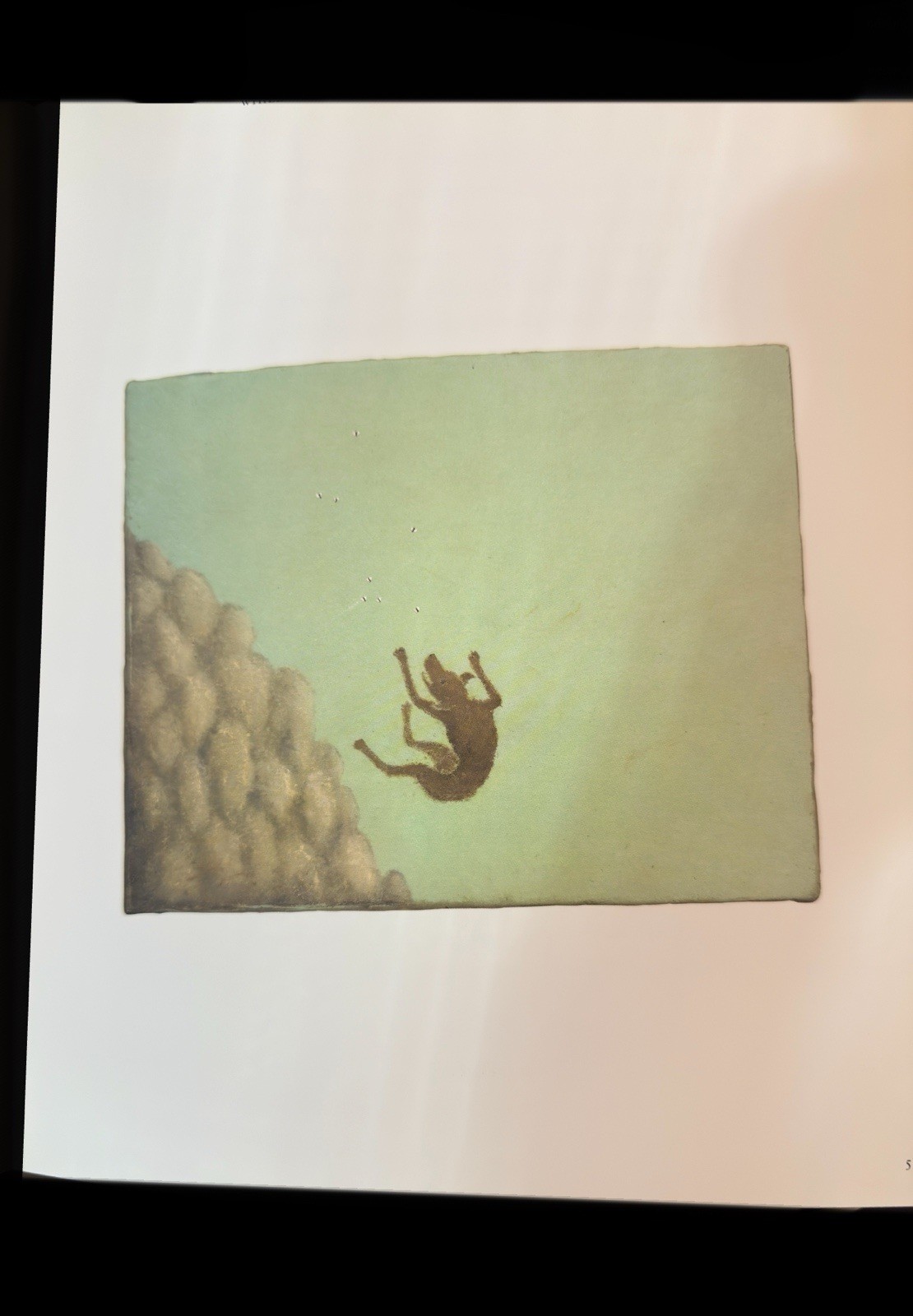 Francis Alÿs The Prophet and the Fly Text by Catherine Lampert