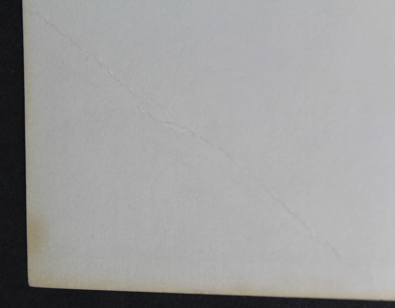 Rare 1984 Bengal Bites Cincinnati Bengals Wives’ Cookbook Spiral Bound 127 Pages