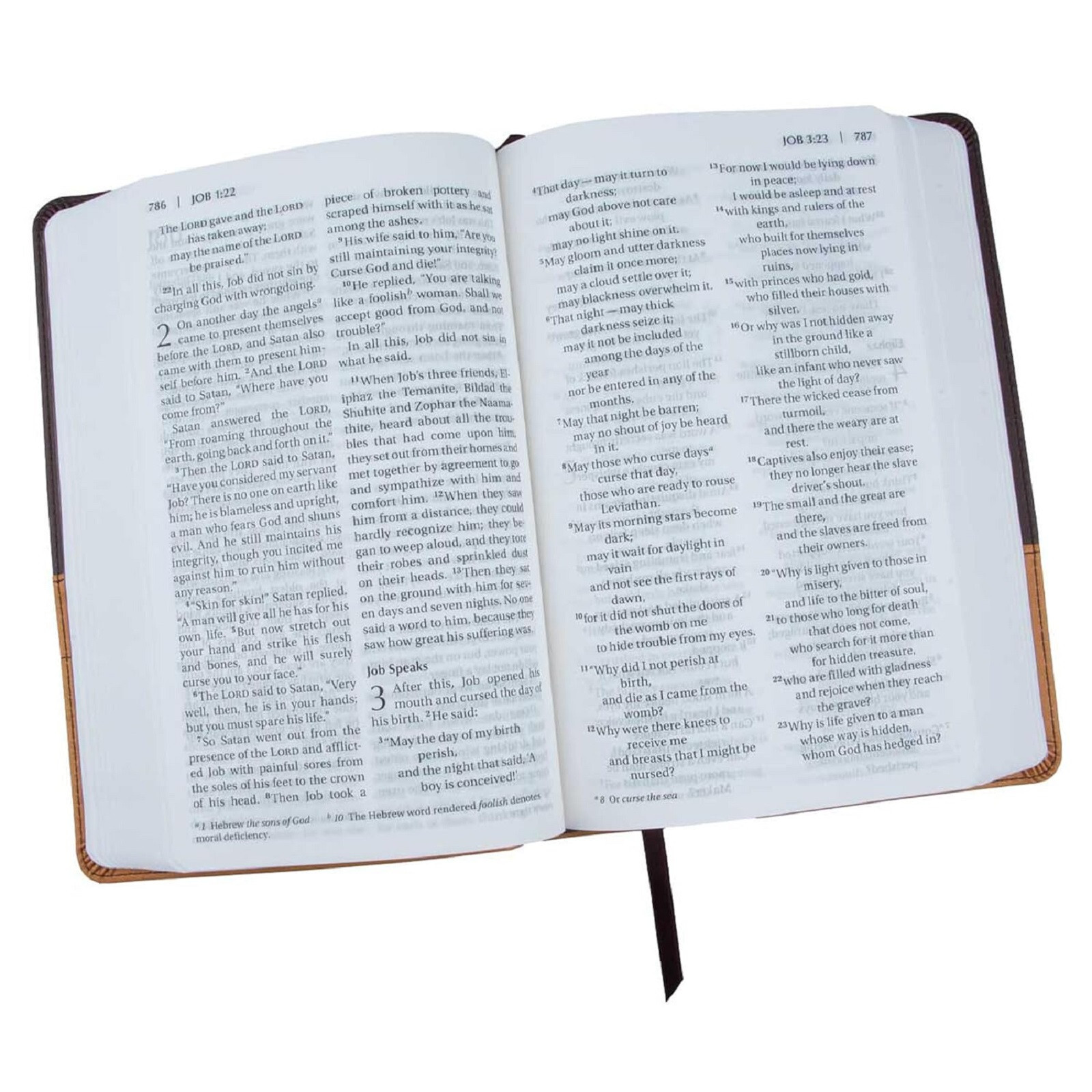 NIV Bible Large Print DuoTone free shipping in shrink wrap BRAND NEW!!!