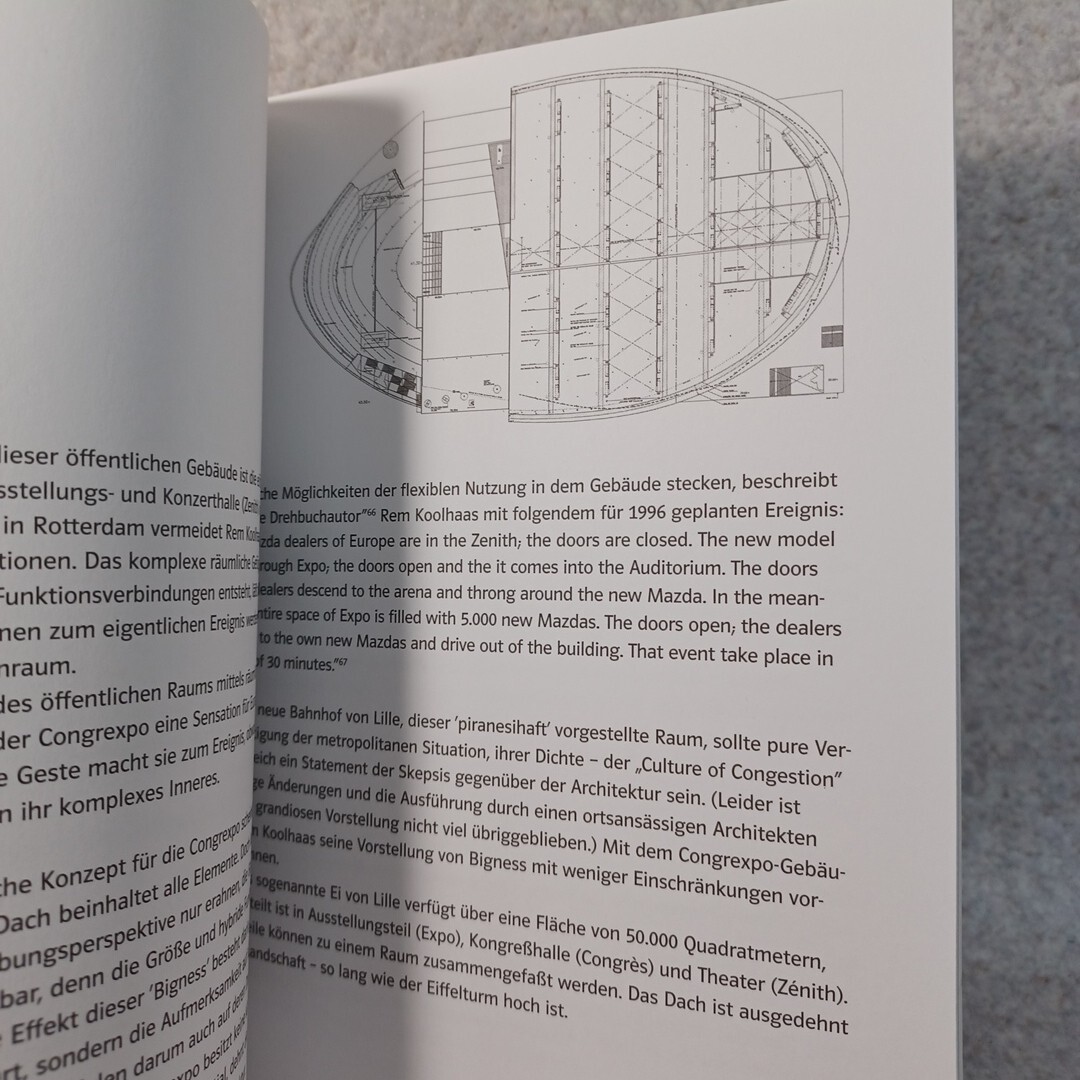More is More : OMA/Rem Koolhaas Theorie und Architektur Heike Sinning