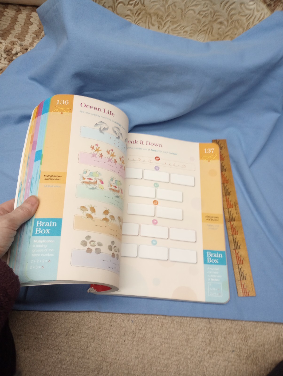Brain Quest Workbook: Grade 5 – Paperback By Heos, Bridget New, not used