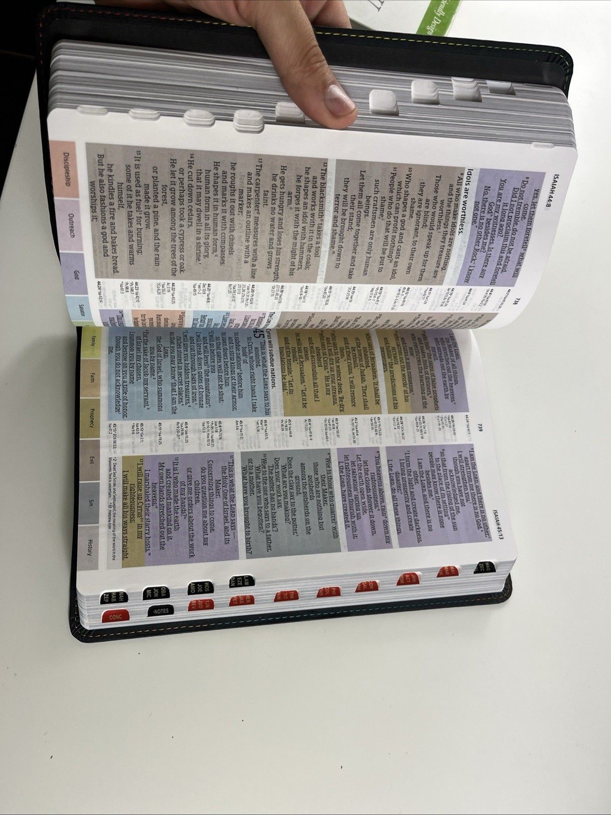 Holman Rainbow Study Bible NIV Edition: LeatherTouch Pierced Cross 2015