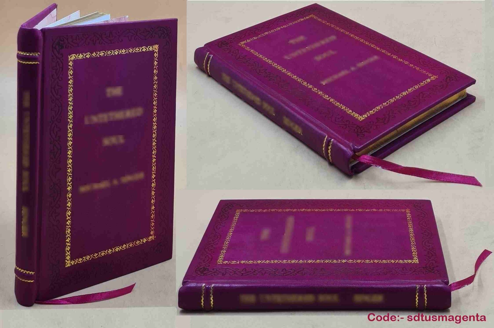 The Fabulous Lost & Found and the little Korean mouse: L [Premium Leather Bound]