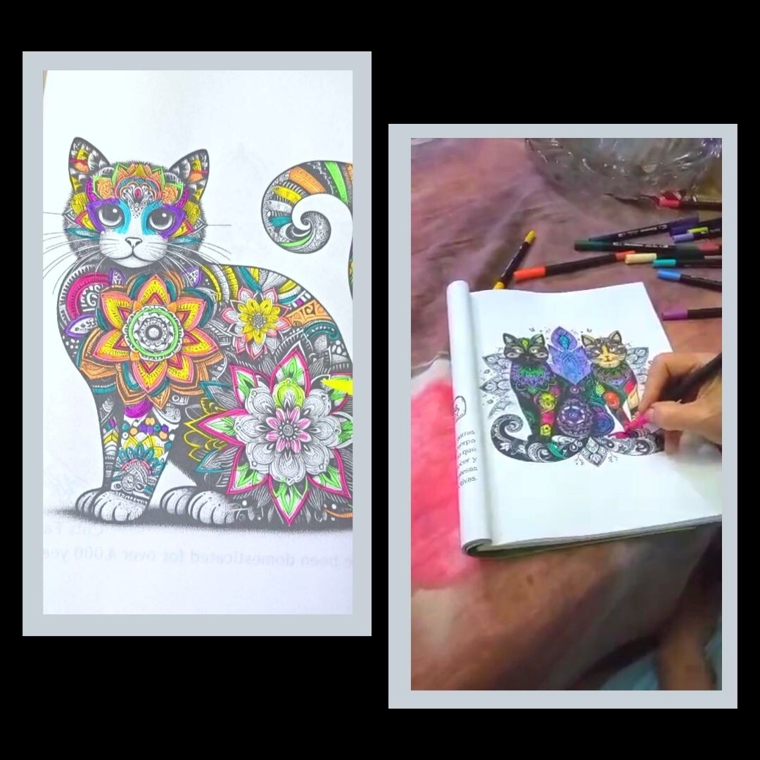 Mandala coloring book for adults for Cats Lovers Made in USA 40 Designs.