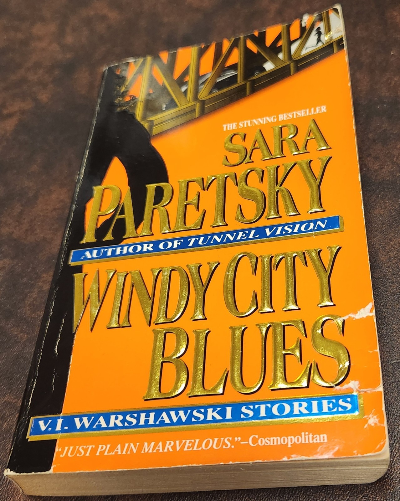 V.I. Warshawski Series by Sara Paretsky Lot, Vol 1-12 + Windy City Blues