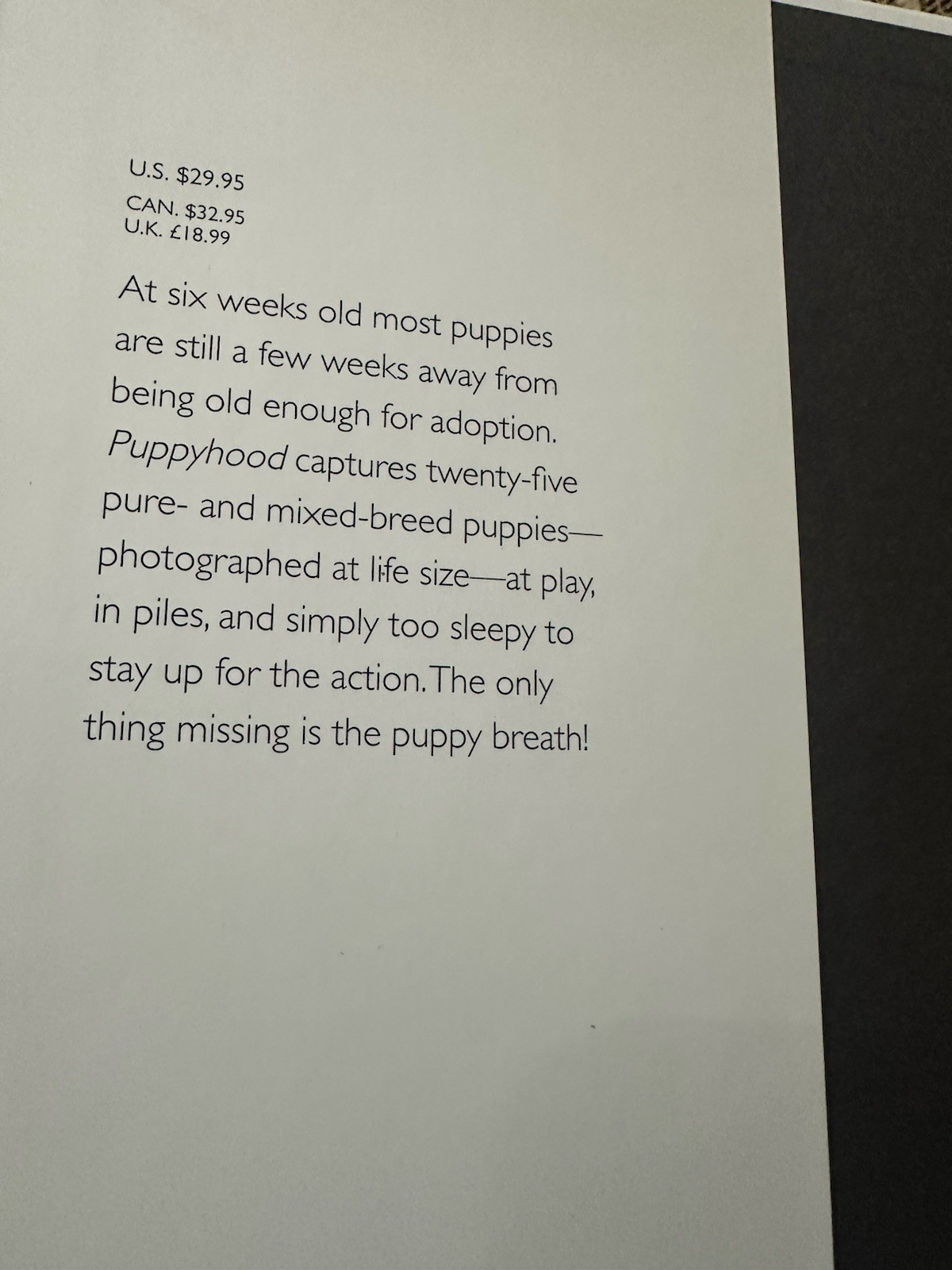 4 Dog Books