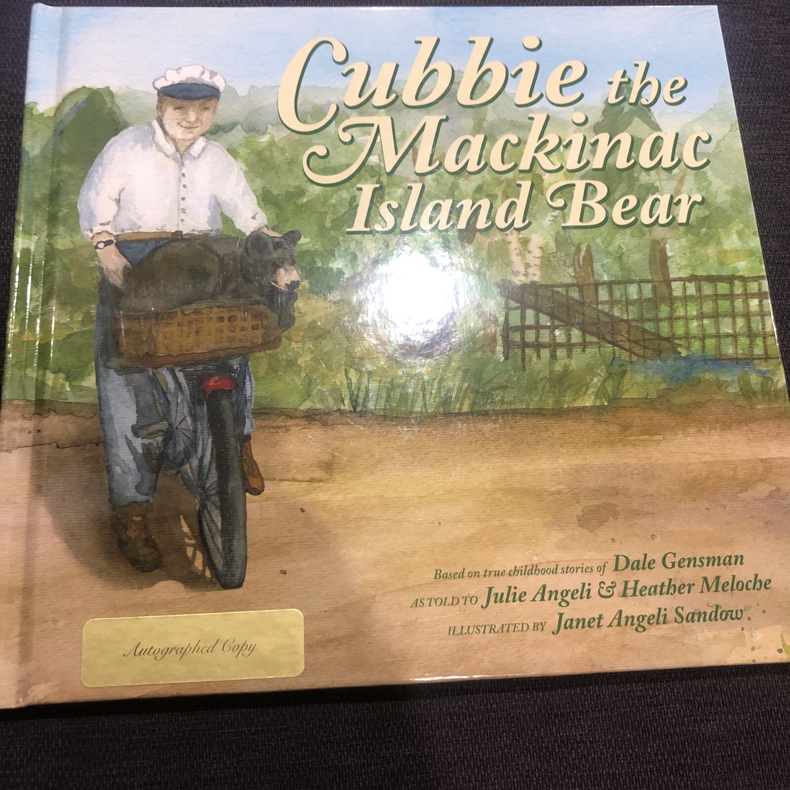 Cubbie the Mackinac Island Bear by Meloche and Angeli (2010, Trade Paperback)