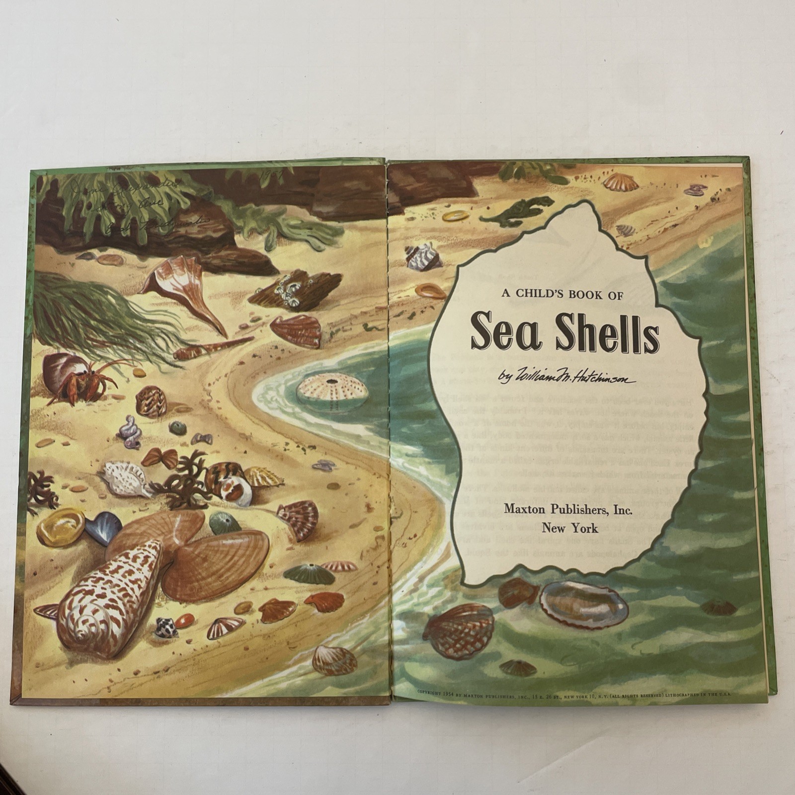 * Vintage Lot 6 A Child’s Book Of Stones Stars Animals Rovers Trees Sea Shells