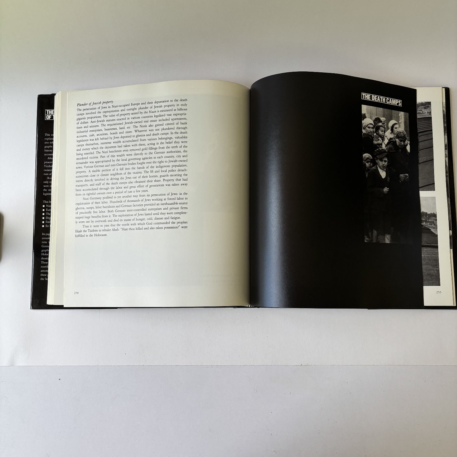 The Pictorial History of the Holocaust Arad 1990 First Printing Macmillan