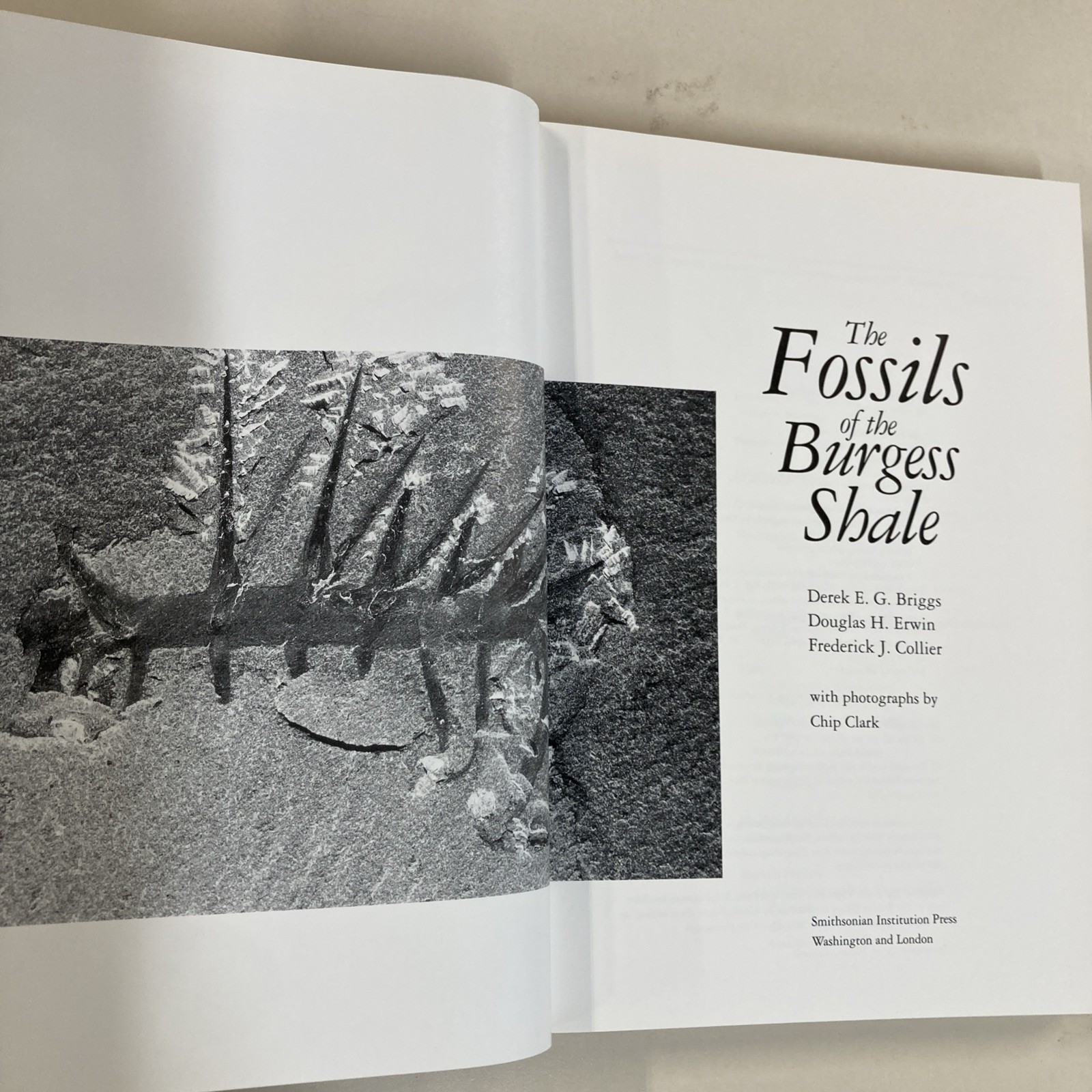 Fossils of the Burgess Shale HC DJ Collier, Erwin & Briggs 1994 Smithsonian Good