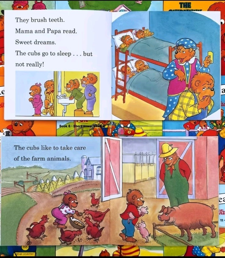 Berenstain Bears I Can Read Phonics Kids Books Lot 12