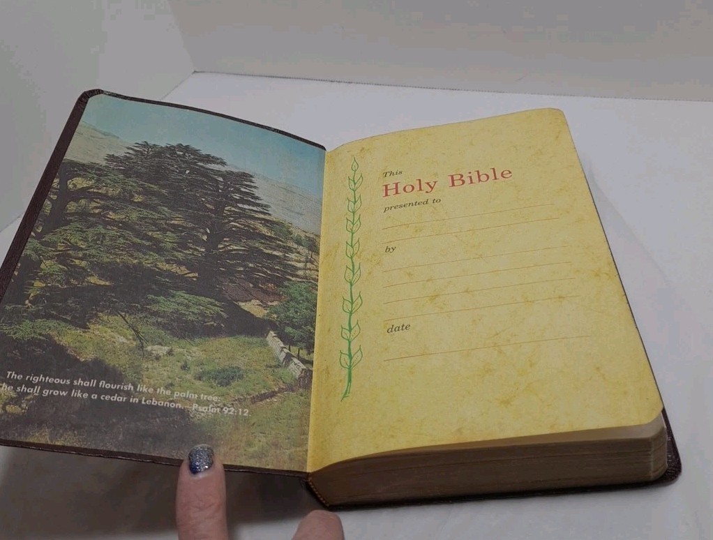 Vintage 1972 Holy Bible Revised Standard Version Red Letter Nelson