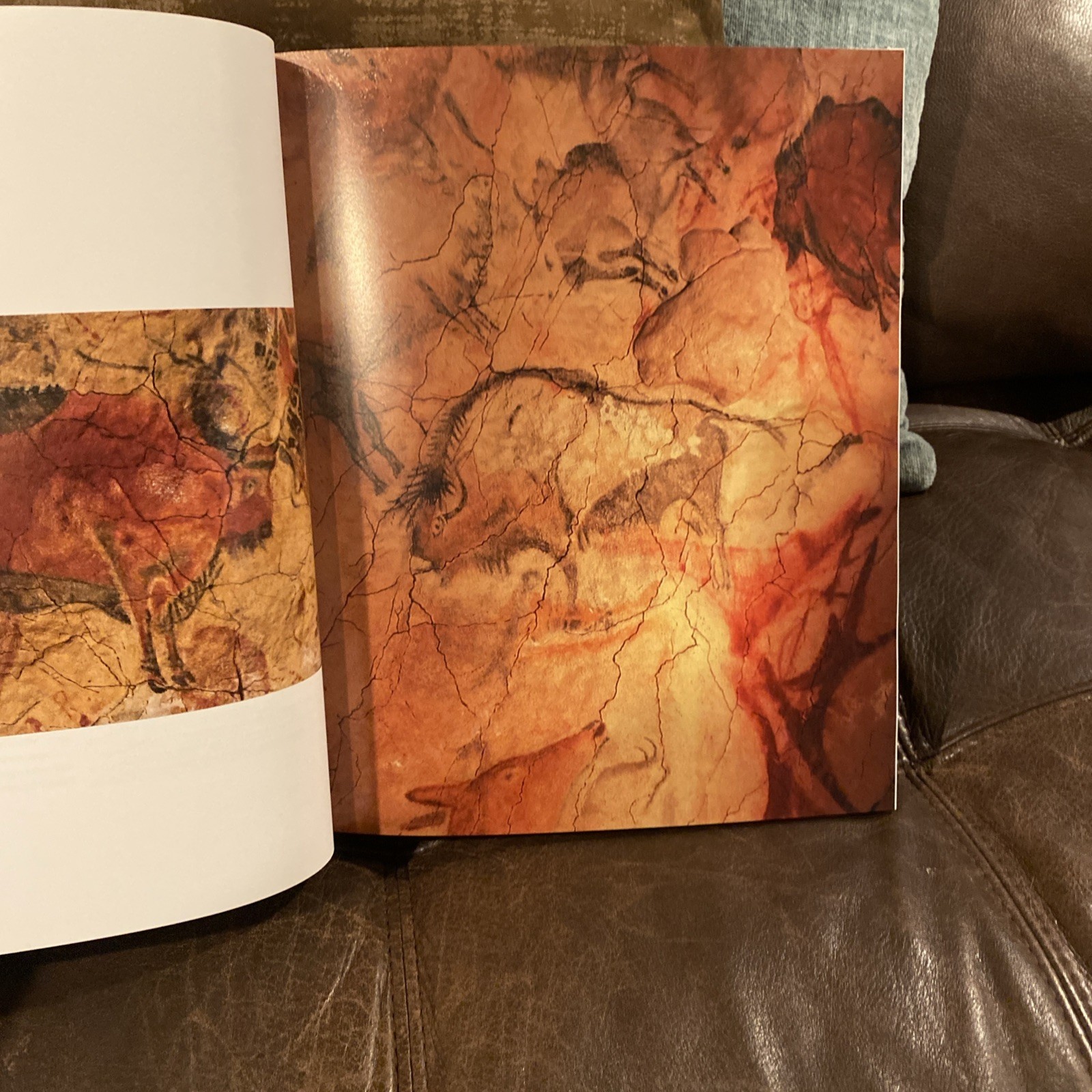The Commonality of Humans Through Art: How Art Connects Mankind Through the Ages