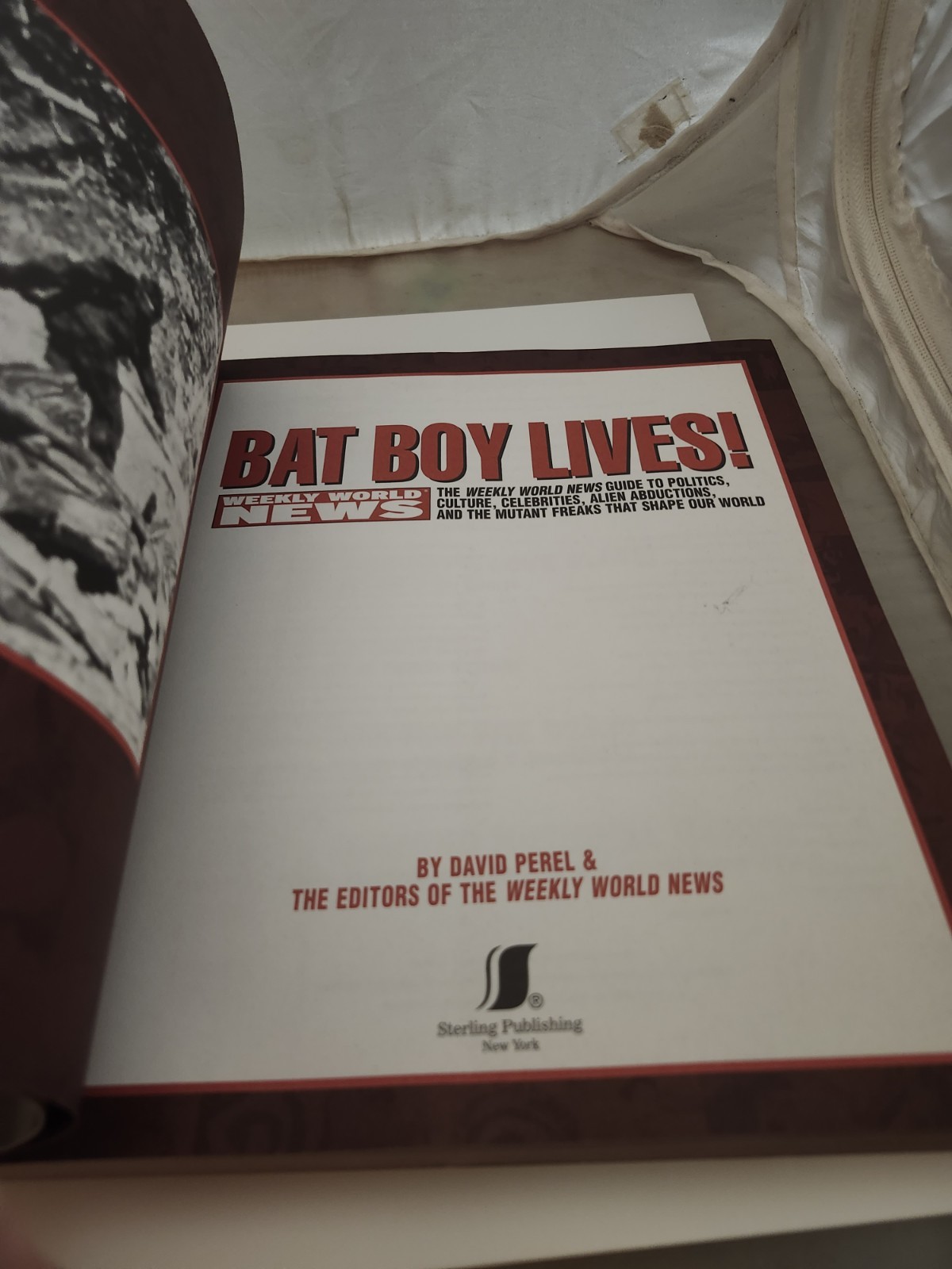 Bat Boy Lives!: The Weekly World News Guide To Politics, Culture, Celebrities