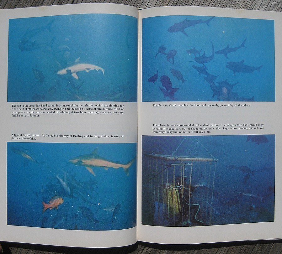 1970 SHARKS Personally Signed by JACQUES COUSTEAU & PHILIPPE COUSTEAU Ocean JAWS