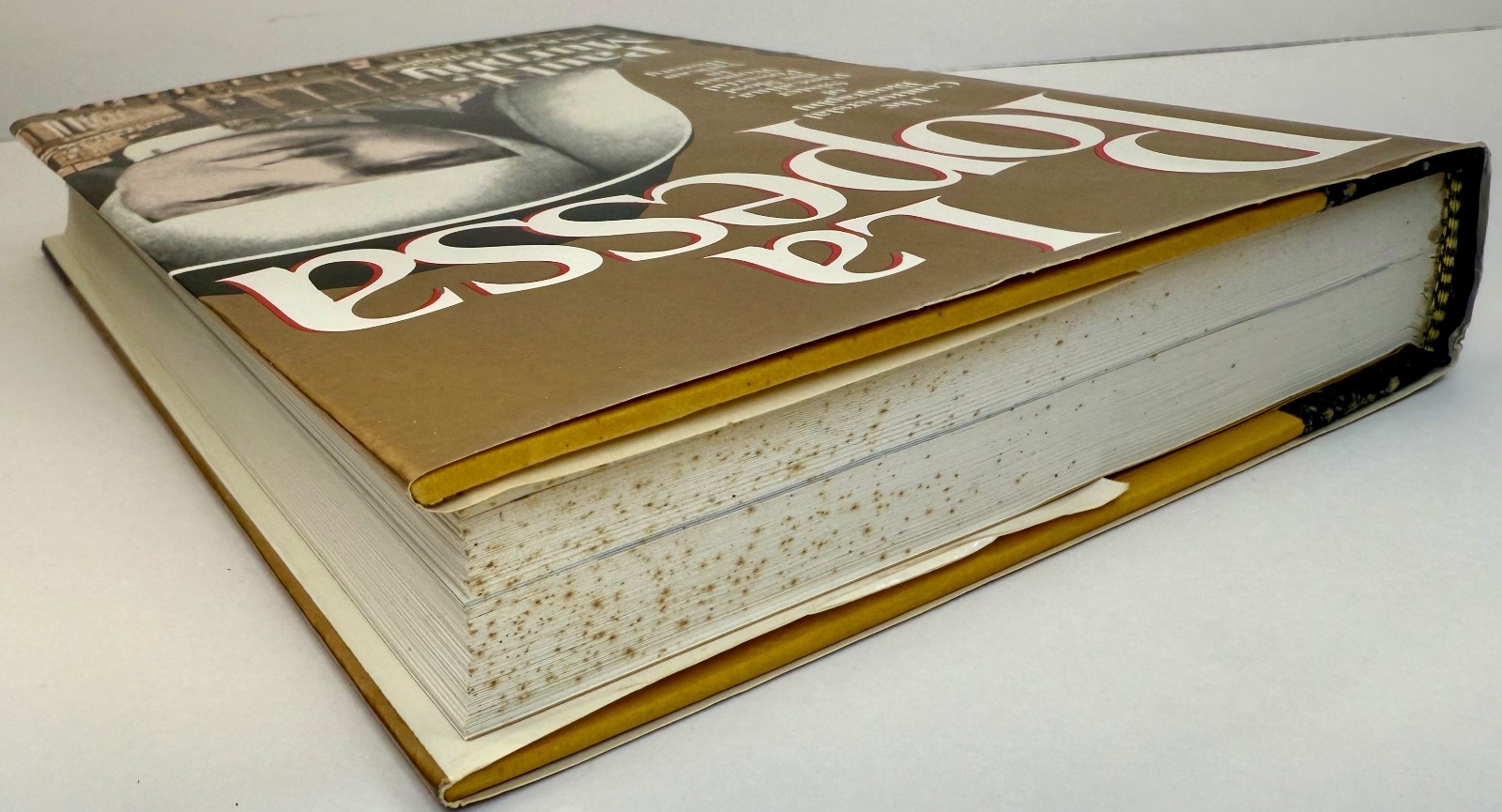 La Popessa Sister Pascalina 1983 First Printing Hardcover Paul I. Murphy
