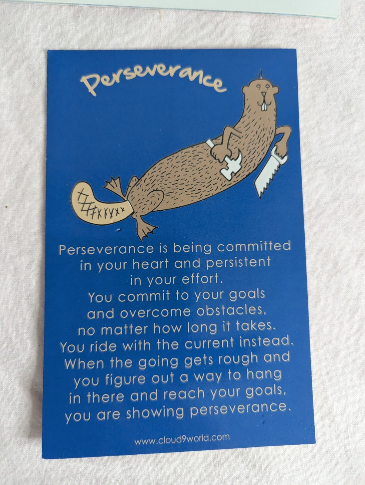 Home School Teachers Cloud 9 world character book PERSEVERANCE Kindergarten -1st