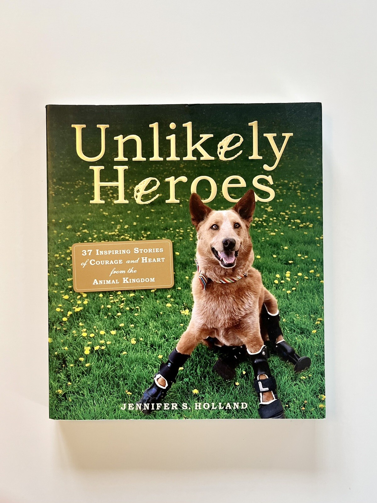 Unlikely Heroes By Jennifer S Holland Paperback 2014 37 Inspiring Stories