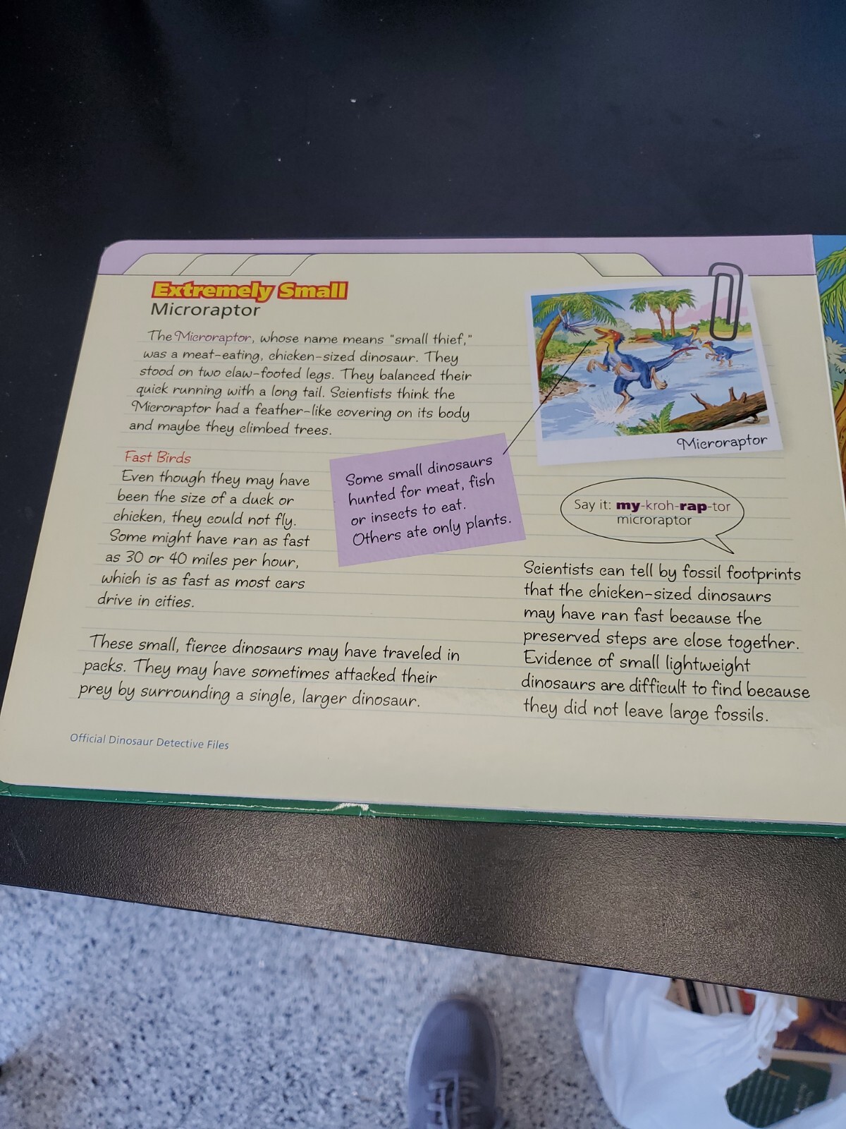 Discovering dinosaurs Book and 5 jigsaw puzzles