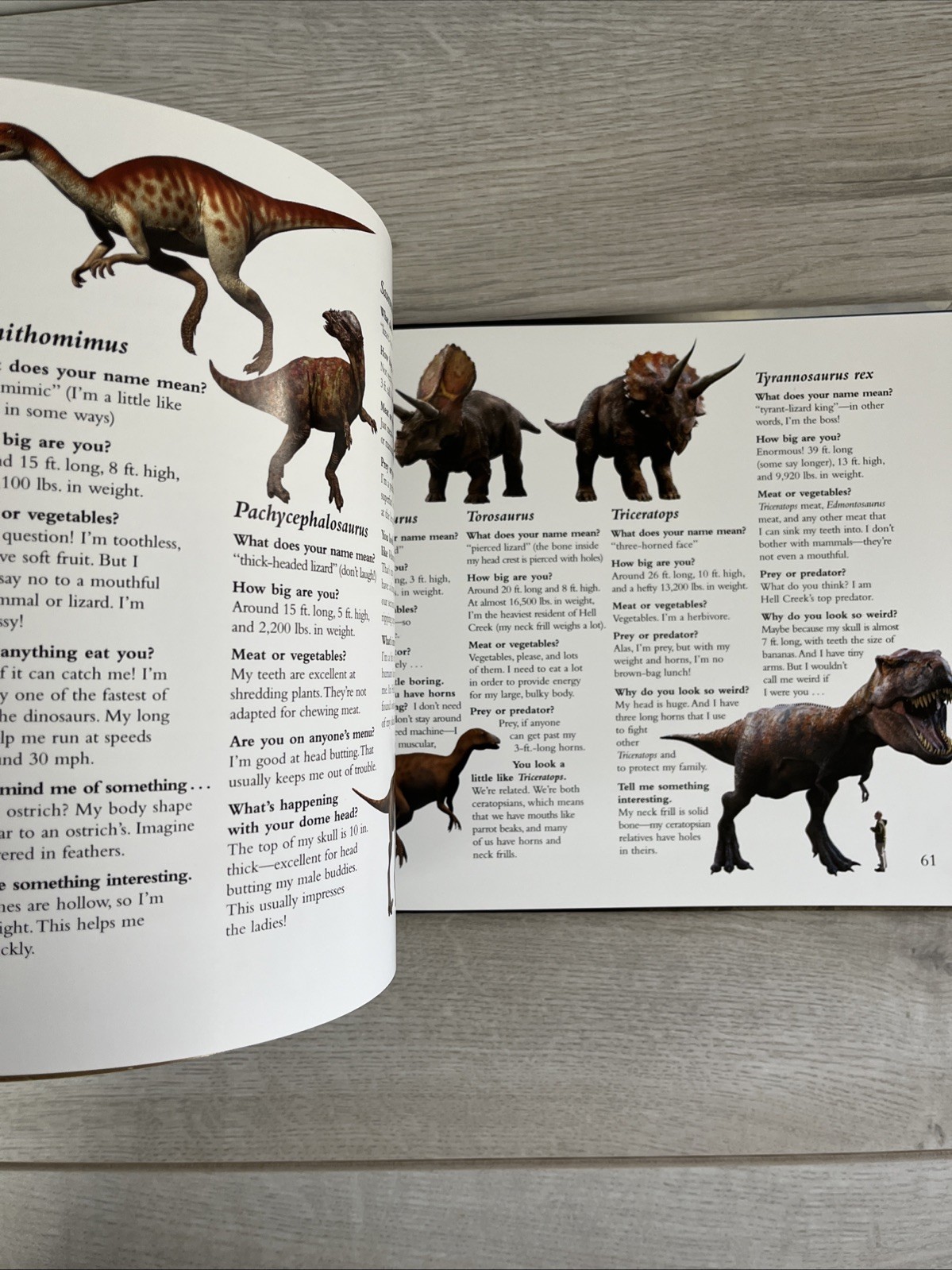 Dinomummy : The Life, Death and Discovery of Dakota, a Dinosaur from Hell Creek