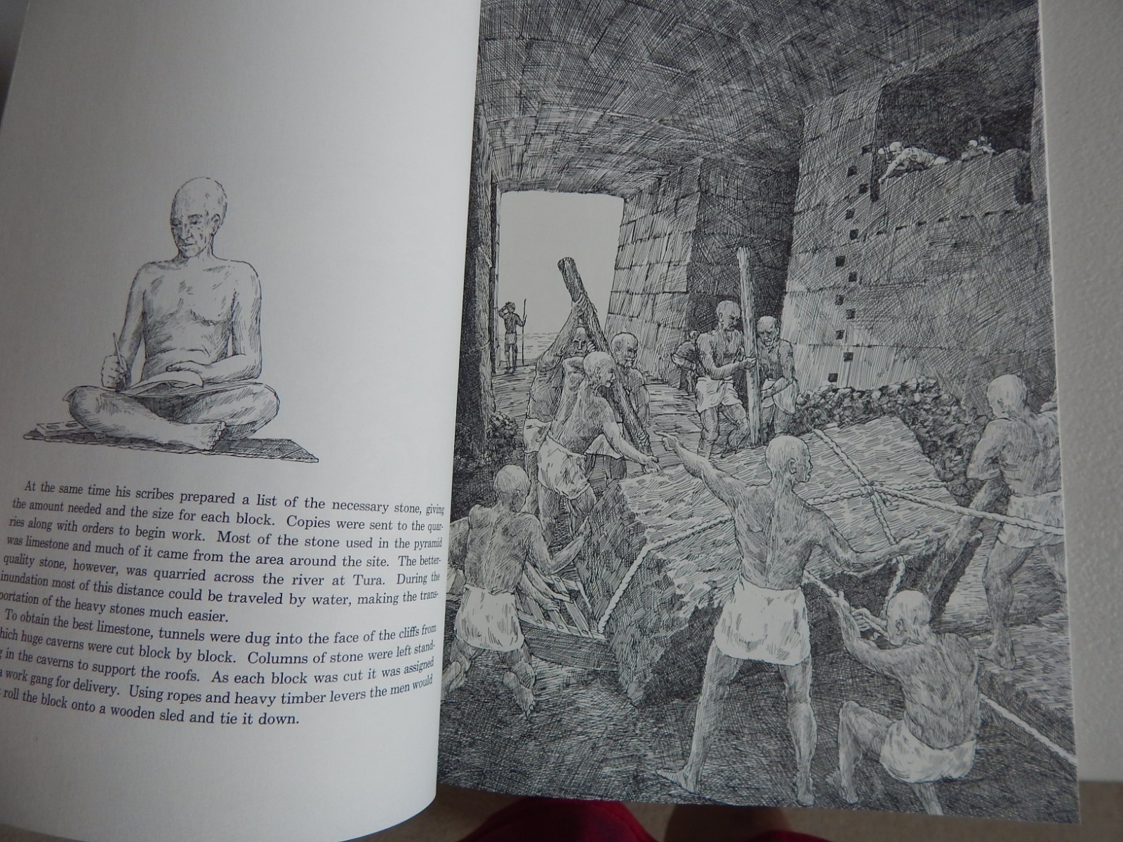 Lot 5 DAVID MACAULAY book CASTLE Cathedral MOSQUE Pyramid WAY THINGS WORK (2023)