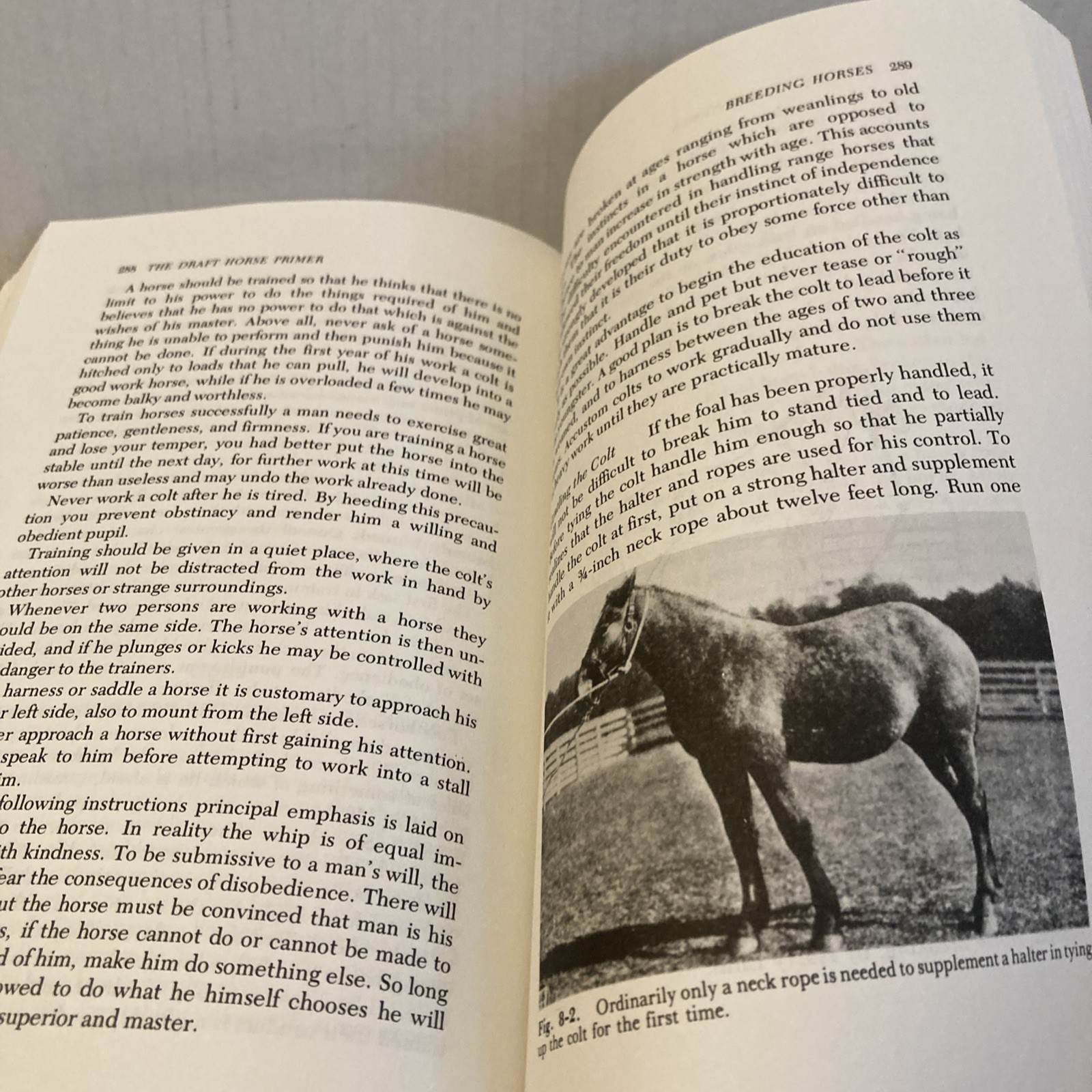 The Draft Horse Primer by Maurice Tellen 1977 Paperback 392 Pages