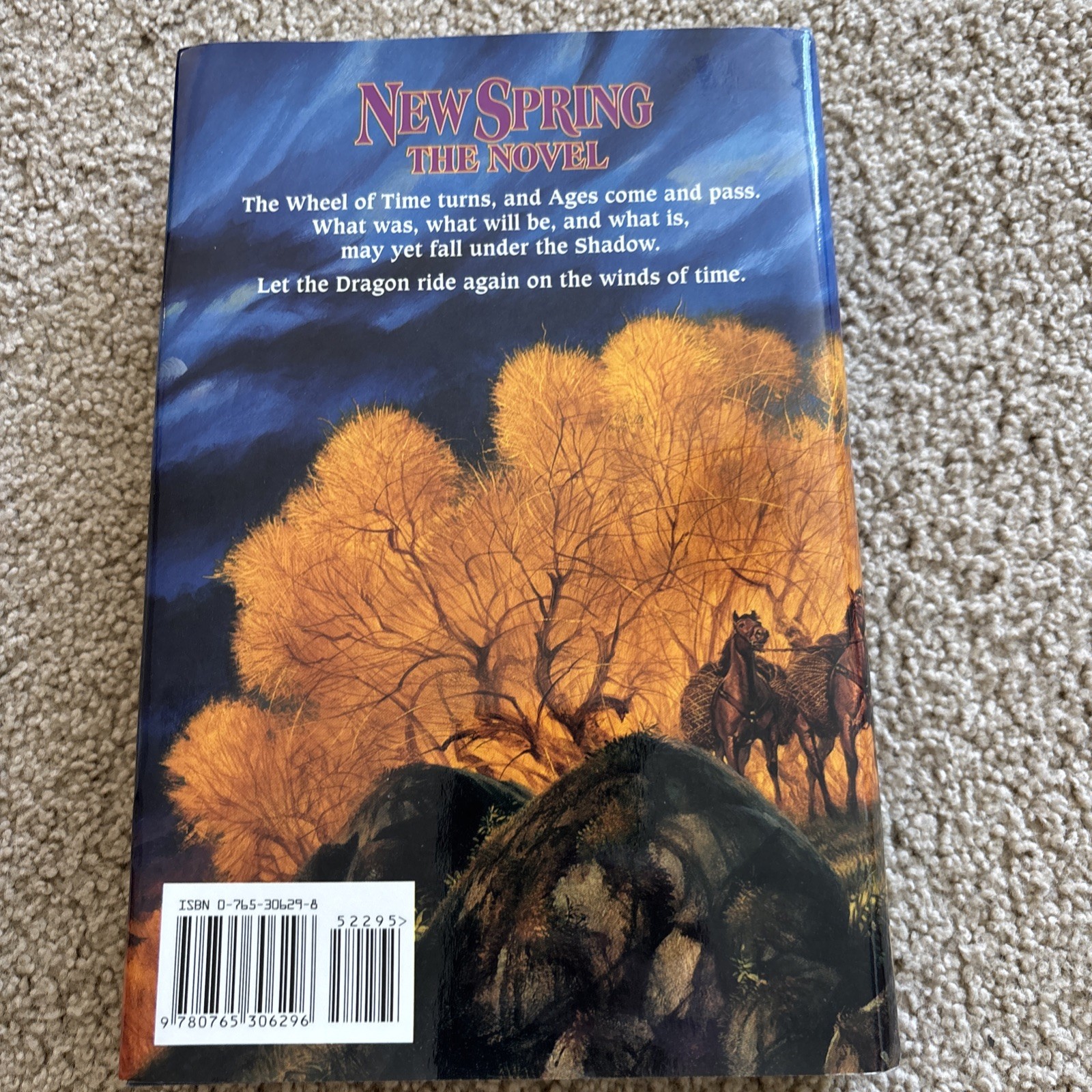 7 Book Lot – Robert Jordan – Wheel Of Time – Book 1, 2, 3, 4, 5, 8 and 12.