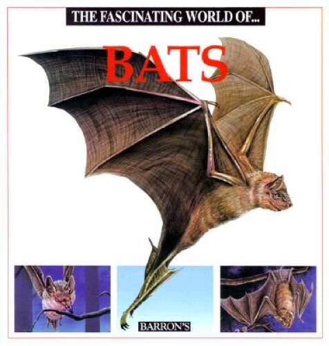 The Fascinating World of Bats – Paperback By Julivert, Maria Angels – GOOD