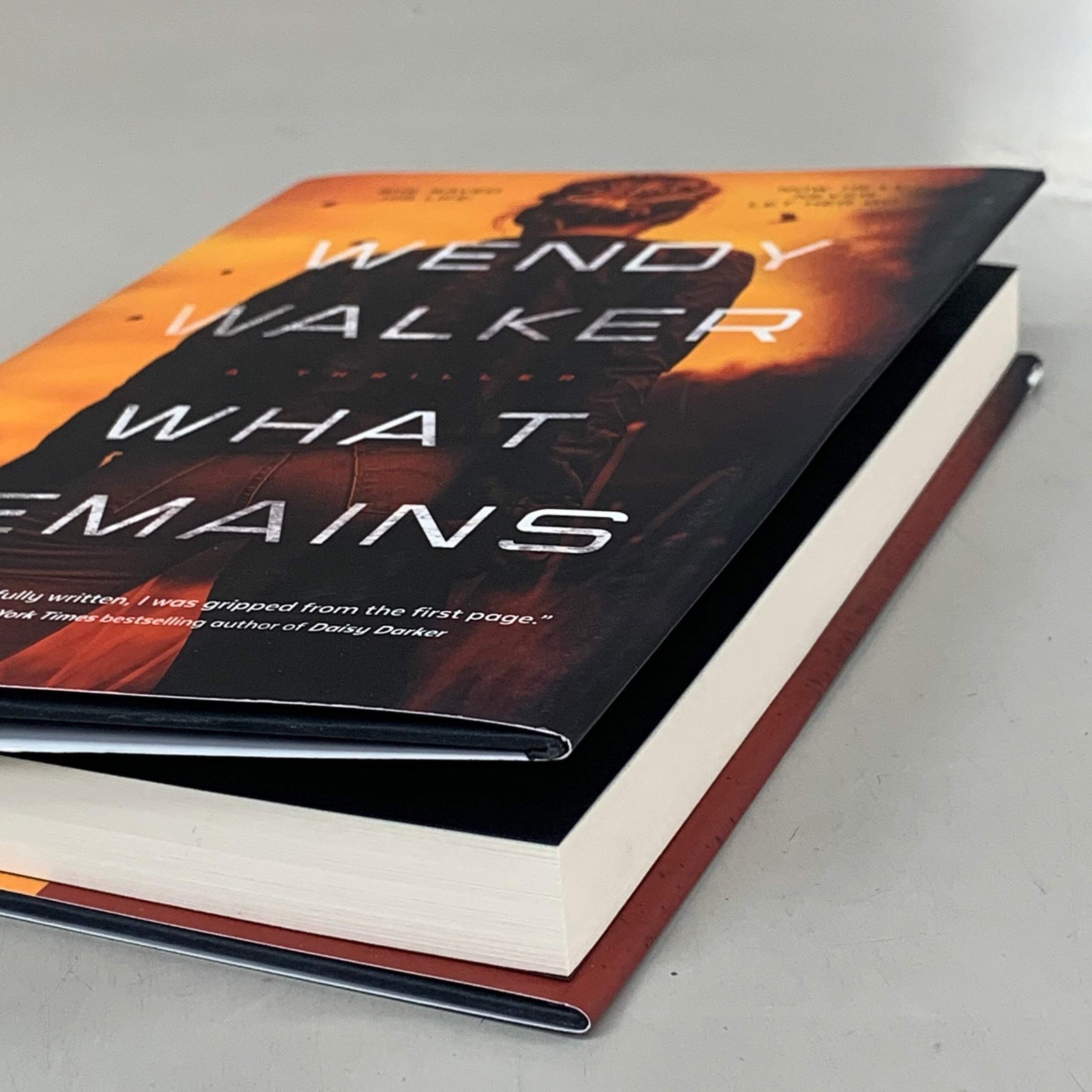 BLACKSTONE Wendy Walker What Remains (Used Good-Slight Tear on cover) 254 Pages