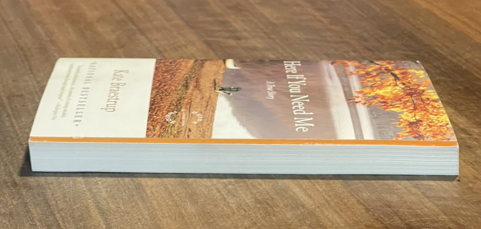 Here If You Need Me: A True Story by Kate Braestrup (2008, Trade Paperback)