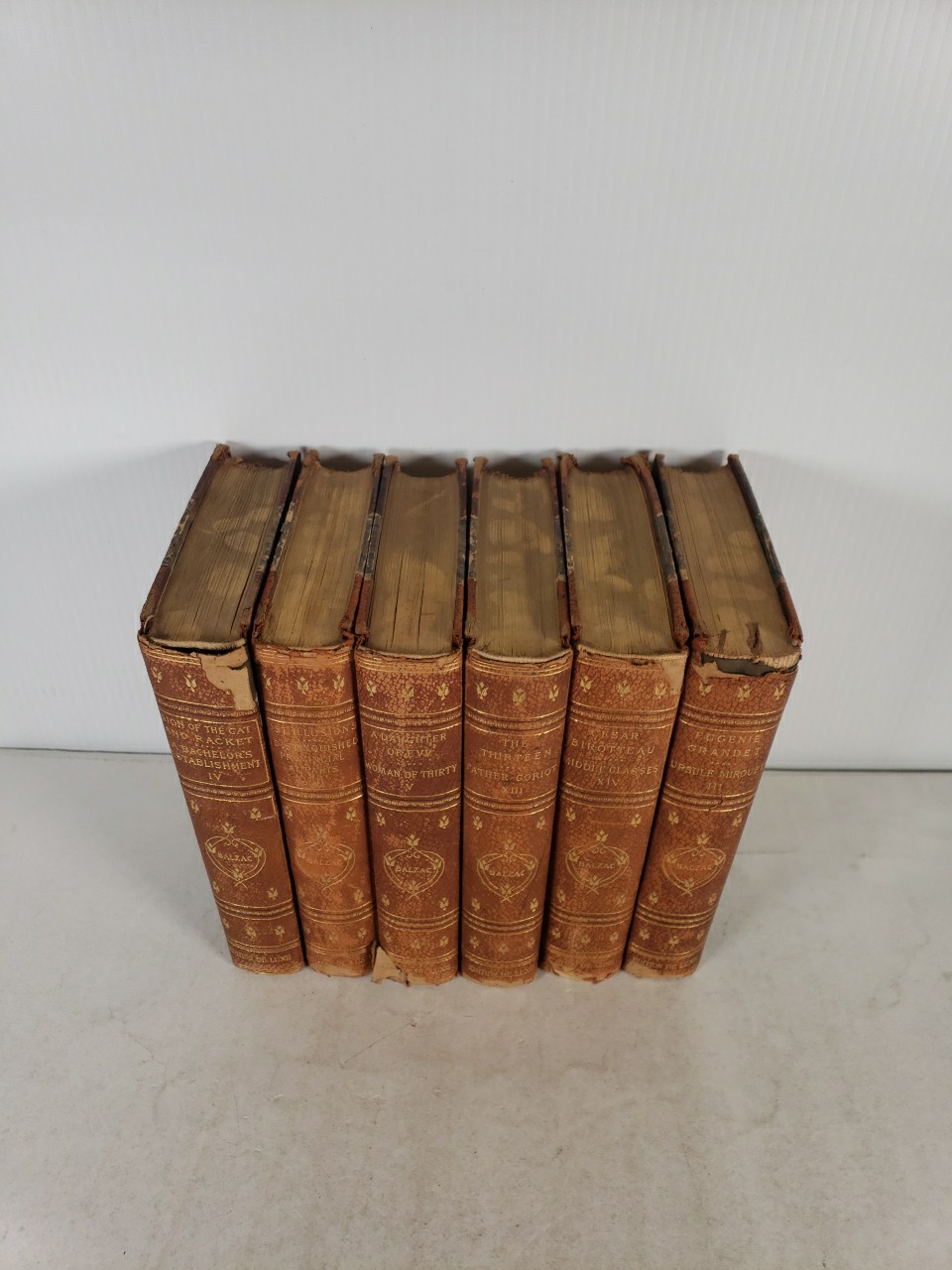 The Works of Honore De Balzac 6 Volumes-3, 4, 5, 8, 13, 14 (1901 Edition de Luxe