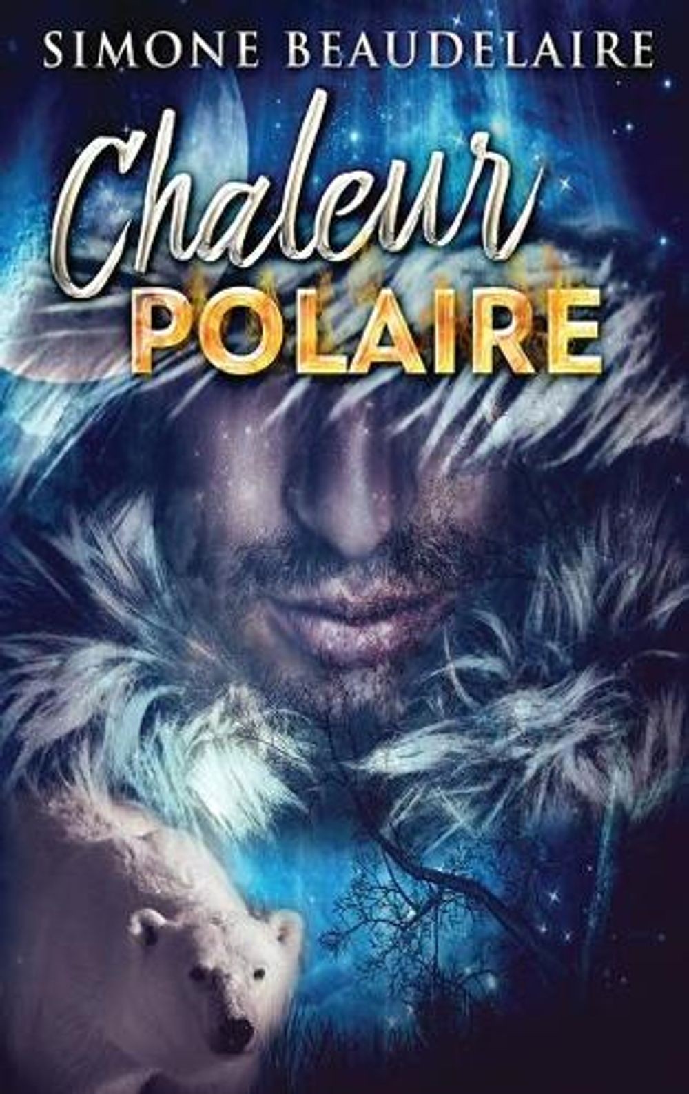 Chaleur Polaire by Simone Beaudelaire (French) Hardcover Book
