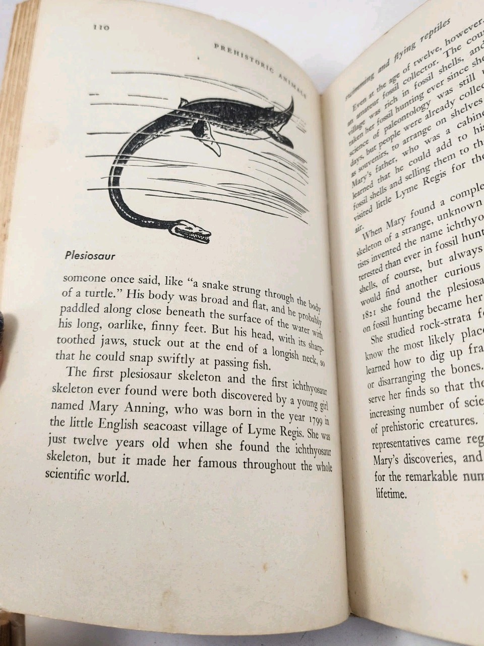 Vtg Prehistoric Animals Sam and Beryl Epstein 1956 1st Print Mylar HCDJ