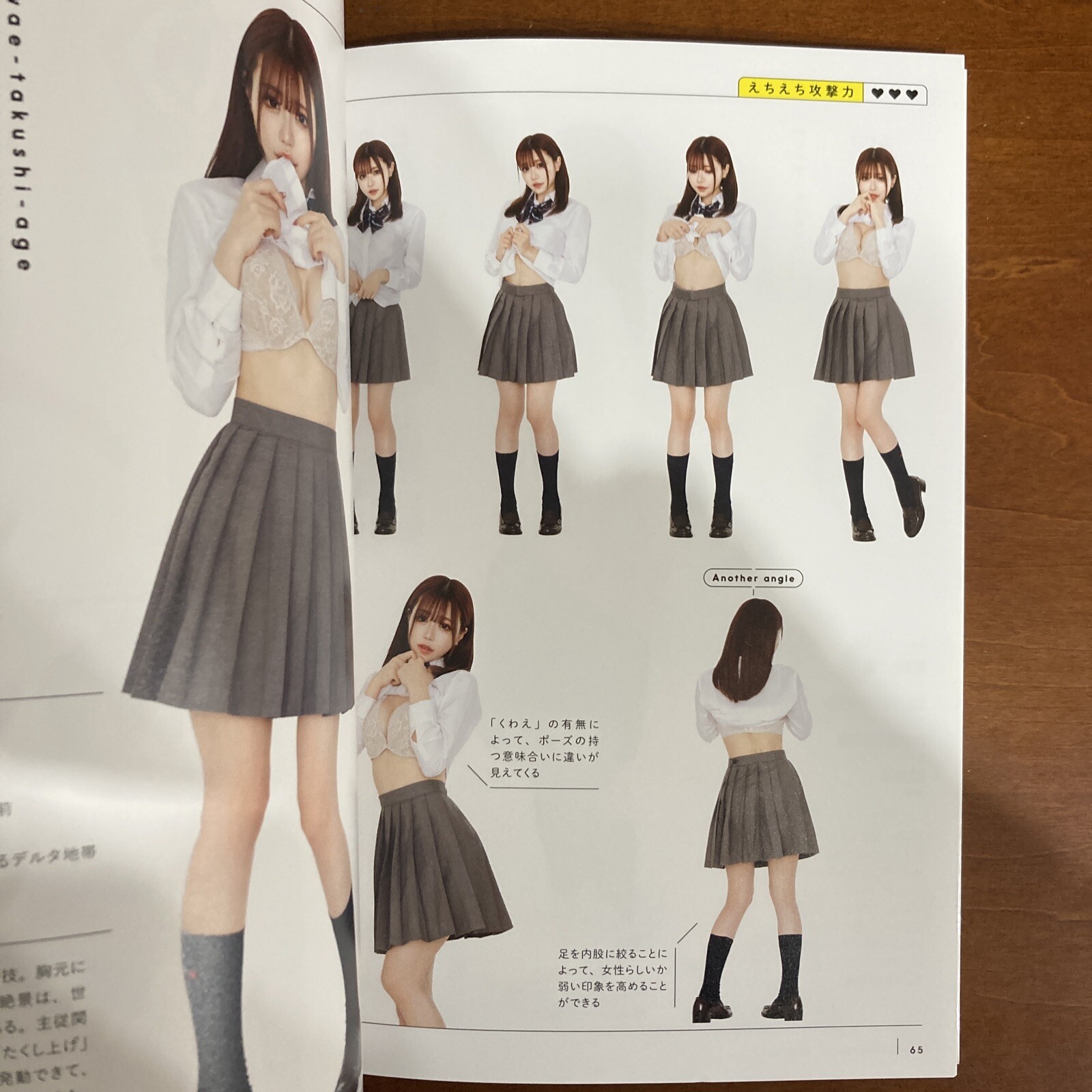 Beautiful Echi Echi Pose Book Manga Pose Cosplay Pose Art Book Illustration