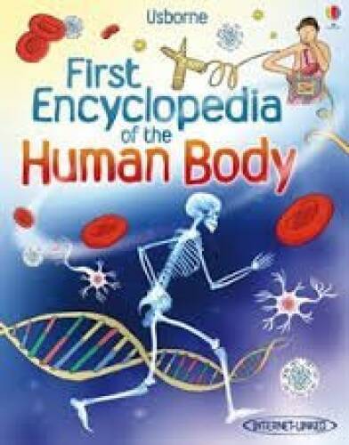 First Encyclopedia of the Human Body – Paperback By Felicity Brooks – GOOD